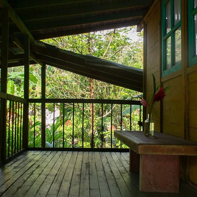 Selva 1