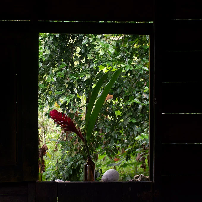 Habitación Oropendola 4