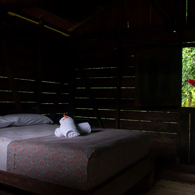Habitacion Oropendola2