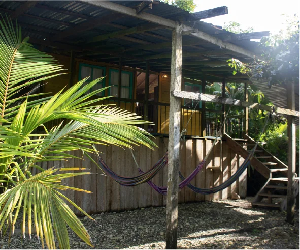 Habitaciones en Selva